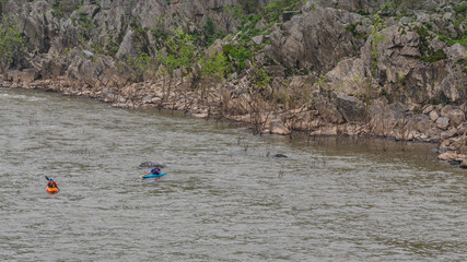 Two men on Kayaks paddlying on the river