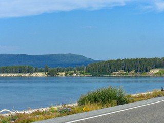 Scenic view of Yellowstone Lake with trees and wildflowers at Yellowstone National Park, Wyoming.