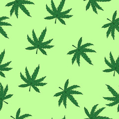 Marijuana seamless pattern. For fabrics, wrapping paper. Vector graphics.