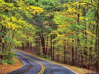 driving down road in fall