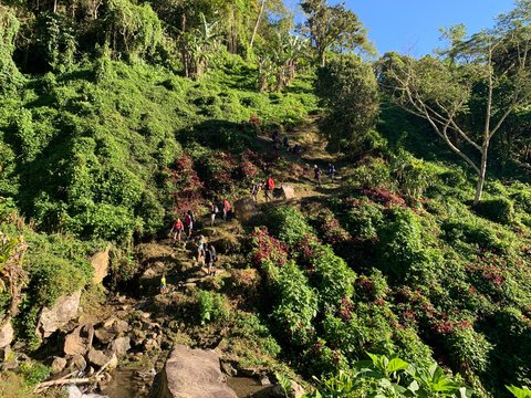 Papua New Guinea, Oro. Beautiful Scenery On Kokoda Track