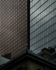 Skyscrapers in downtown Toronto on an overcast day