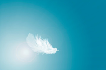 Soft white feather floating in the air 