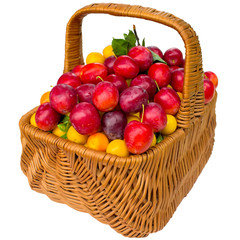 Basket with cherry plum isolated on a white background.