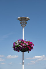 Lantern with flowers in Camaret-sur-Mer. Vintage style.Finister. Brittany. France