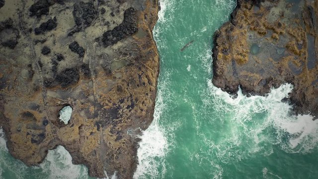 Aerial flying over rocky coastline and ocean waves in Cape Perpetua, Oregon, USA