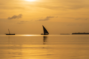 Fototapeta premium Traditional fishing sailing boat during sunset on Indian ocean in island Zanzibar, Tanzania, Africa