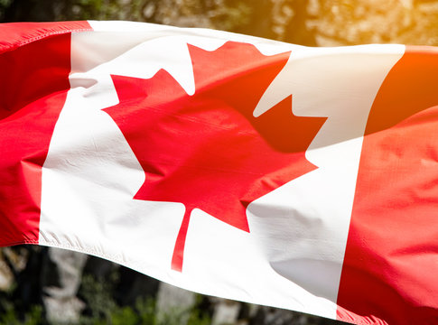Blowing Canada flag with light flare Stock Photo | Adobe Stock
