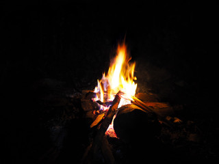 burning bonfire in the dark at campsite