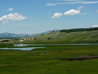 Naklejka premium Lush green meadow with the Yellowstone River at the Yellowstone National Park in Wyoming, USA.