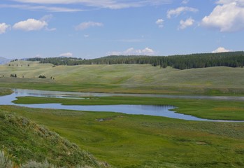 The Yellowstone River flows at the lush valley of National Park in Wyoming, USA.