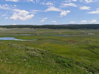 Wide view of lush green meadows with the Yellowstone River at the Yellowstone National Park in Wyoming, USA.