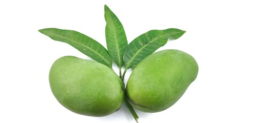 Fresh green mangoes