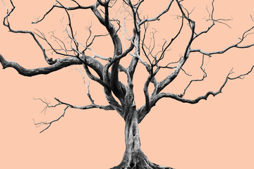 Old Big Giant Tree alone on Muted color background.