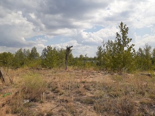 Obraz premium near the river