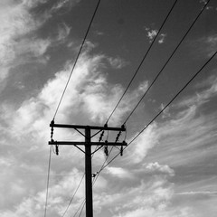 Utility Pole and line