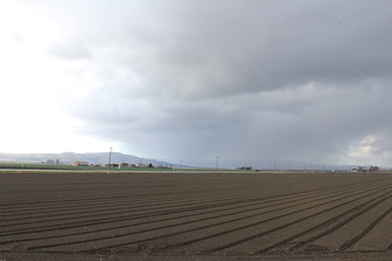 Storm over field