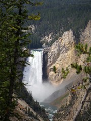 Portrait shot of the Lower Yellowstone Falls framed by pine trees from the Artist Point at the Yellowstone National Park in Wyoming.