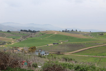 landscape with green field and blue sky