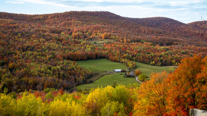 Vermont Farm