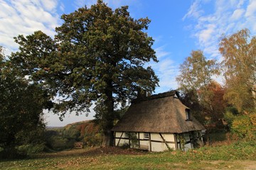 Fototapeta na wymiar picturesque thatched country house with lake view in fall