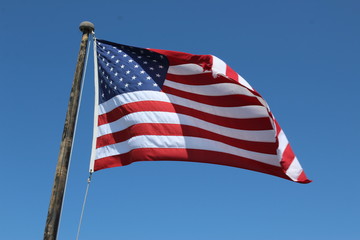 Fototapeta premium american flag of united states of america