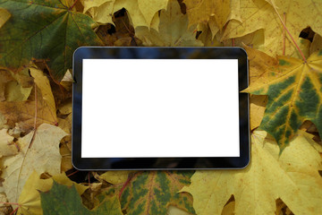 Presentation of tablet on leaves