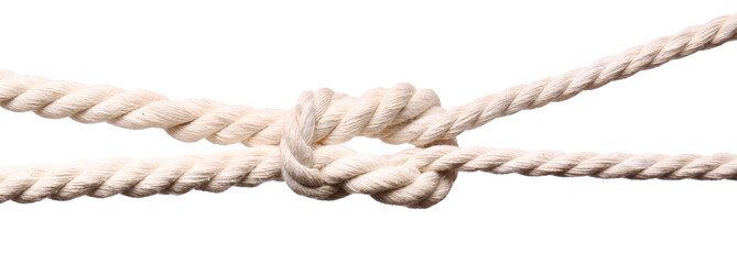 Ropes with knot on white background - obrazy, fototapety, plakaty