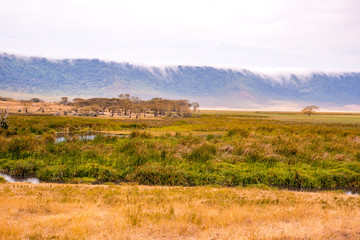 Panorama of Ngorongoro crater National Park with the Lake Magadi. Safari Tours in Savannah of Africa. Beautiful landscape scenery in Tanzania, Africa