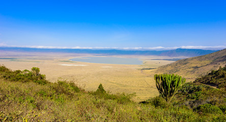 Fototapeta premium Panorama of Ngorongoro crater National Park with the Lake Magadi. Safari Tours in Savannah of Africa. Beautiful landscape scenery in Tanzania, Africa