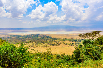 Panorama of Ngorongoro crater National Park with the Lake Magadi. Safari Tours in Savannah of...