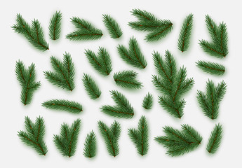 Pine fir branches. Spruce branches realistic. Christmas tree Set isolated on white background. Decorative design elements. Decoration Natural objects. Xmas decor. Vector illustration