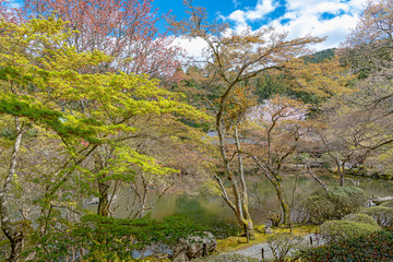 京都 醍醐寺 弁天堂と林泉の春景色