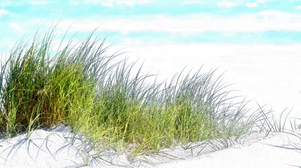 Landscape with the Atlantic Ocean and dune grass © lehmannw