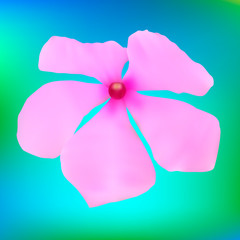 A beautiful big pink flower with five petals and a red heart