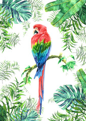 Colored solitary macaw parrot in the jungle framing palm leaves watercolor drawing