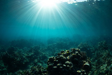 Fototapeta na wymiar Underwater view with corals, rocks and sun rays. Tropical sea
