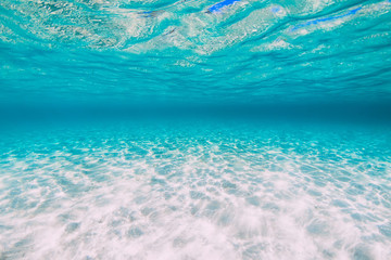 Fototapeta na wymiar Tropical transparent ocean with sand underwater in Hawaii