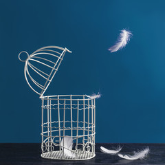 Minimalistic still life of a birdcage on a table and scattered feathers. The concept of freedom, break free, fly away from prison and other associations.