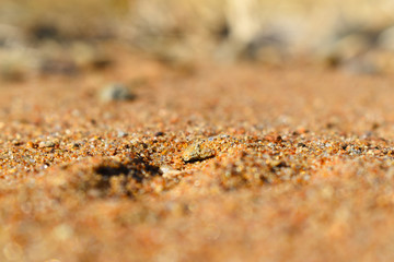 sand close up
