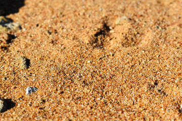 yellow sand on the beach close-up
