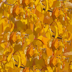      Carpet of yellow leaves in a seamless pattern.