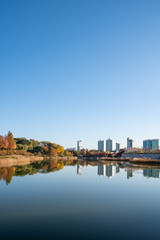 Fototapeta na wymiar Fall leaves. Fall scenery. Lake. Seoul Olympic Park in South Korea.