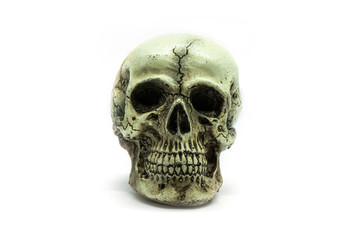 human skull isolated on white background
