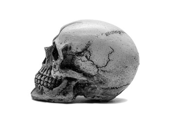 human skull isolated on white background
