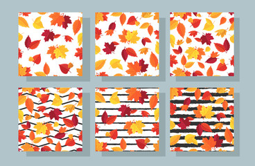 Vector seamless pattern of colorful autumn leaves on white background
