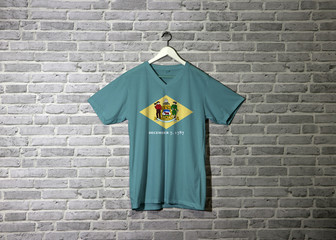 Delaware flag on shirt and hanging on the wall with brick pattern wallpaper, yellow diamond shape on green with coat of arms of the state and the date December 7, 1787 below.