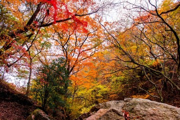 マゼノ渓谷の紅葉