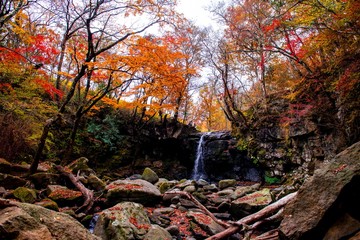 マゼノ渓谷の紅葉