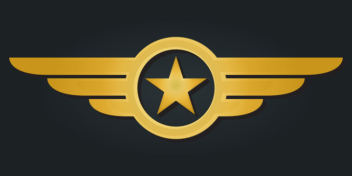 Star with wings logo. Military and Army winged badge. Golden Aviation emblem. Vector illustration.